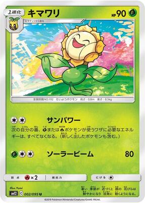 2019 Sunflora #2