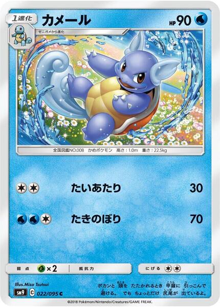 Wartortle (Japanese) #022/95