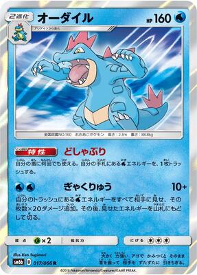 2018 Japanese Champion Road Feraligatr #17 card