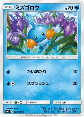 2018 Japanese Sky-Splitting Charisma Mudkip #22 card