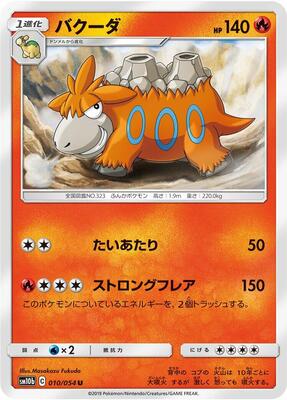 2019 Japanese Sky Legend Camerupt #10 card