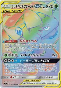 Venusaur & Snivy GX - 074/064