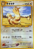 Furret card art