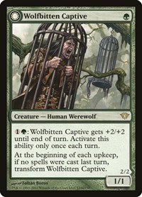 Wolfbitten Captive - Dark Ascension - Magic: The Gathering card