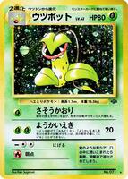 Victreebel - Pokemon Jungle - Pokemon Japan - TCGplayer.com Victreebel - Pokemon Jungle - Pokemon Japan - TCGplayer.com