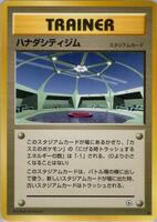 Cerulean City Gym from Pokemon Japanese Leaders' Stadium set