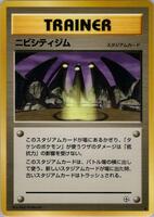 Pewter City Gym card art
