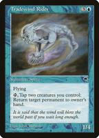 Tradewind Rider - Tempest - Magic: The Gathering - TCGplayer.com