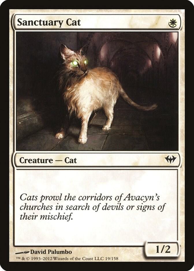 Sanctuary Cat - Dark Ascension - Magic: The Gathering - TCGplayer.com