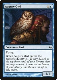 Augury Owl (Duel Decks: Venser vs. Koth)