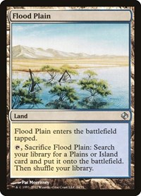 Flood Plain - Duel Decks: Venser vs. Koth - Magic: The Gathering card