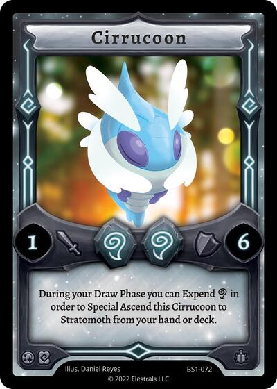 Cirrucoon