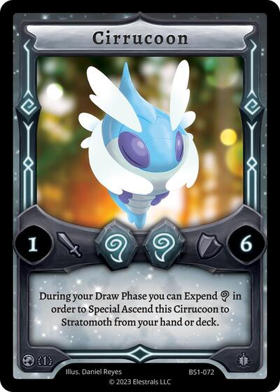 Cirrucoon