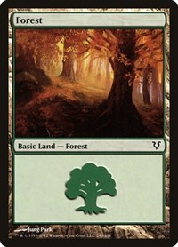 Forest (243) - Avacyn Restored - Magic: The Gathering card