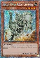 ダイナスフィア　Platinum 429_1_800.jpg?20210902165053