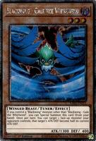 Blackwing - Gale the Whirlwind (Platinum Secret Rare) - Quarter