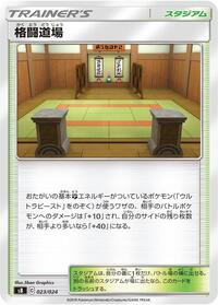 Martial Arts Dojo #023/024 from sB: Sword & Shield Premium Trainer Box Pokemon card image