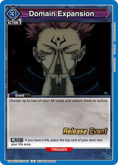 Domain Expansion (067) card