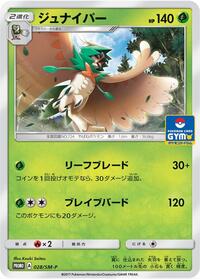 Decidueye - 028/SM-P #028/SM-P from SM-P: Sun & Moon Promos Pokemon card image