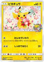 ピカチュウ 224/SM-P Pikachu - 224/SM-P - SM-P: Sun & Moon Promos - Pokemon Japan