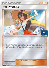 Sightseer - 308/SM-P #308/SM-P from SM-P: Sun & Moon Promos Pokemon card image