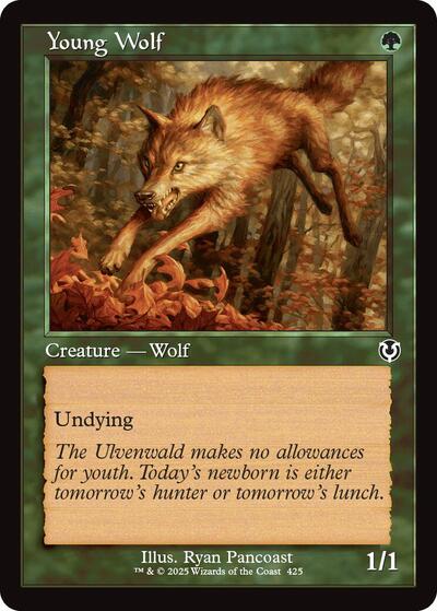 Young Wolf Retro Frame