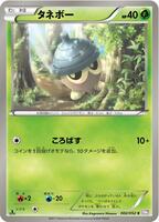 Seedot card art