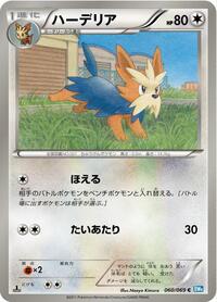 Herdier #060/069 from BW4: Dark Rush Pokemon card image