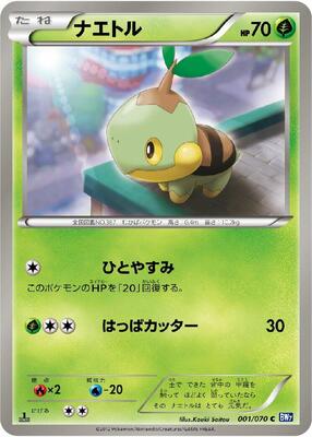 2012 Japanese Plasma Gale Turtwig #1 card