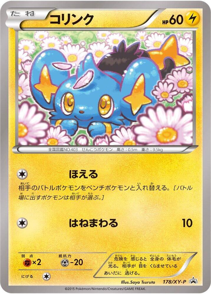 Shinx - 178/XY-P - XY-P: XY Promos - Pokemon Japan - TCGplayer.com