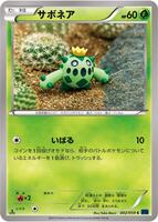 Cacnea card art
