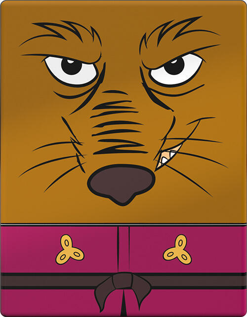 Squaroes Teenage Mutant Ninja Turtles - Splinter - Ultimate Guard Deck ...