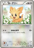 Lillipup card art