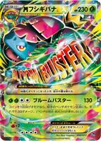 M Venusaur EX