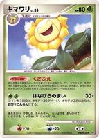 Sunflora