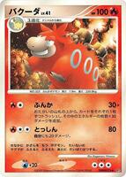 Camerupt card art