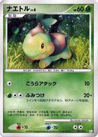 Turtwig card art
