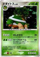 Torterra card art