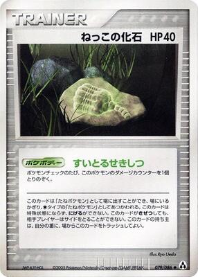 Root Fossil