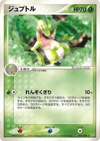 Grovyle #005/080 from Magma VS Aqua: Two Ambitions Pokemon card image