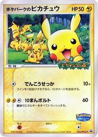 PokePark's Pikachu - 043/PCG-P #043/PCG-P from PCG-P Promotional cards Pokemon card image