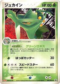 Sceptile - 063/PCG-P #063/PCG-P from PCG-P Promotional cards Pokemon card image