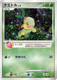Turtwig (PPP Promotional cards)
