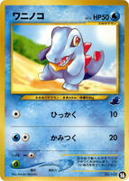 Intro Pack Neo (Totodile) | Pokemon Japan | TCGplayer