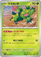 Maractus card art