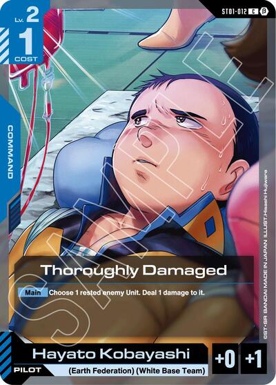 Thoroughly Damaged card