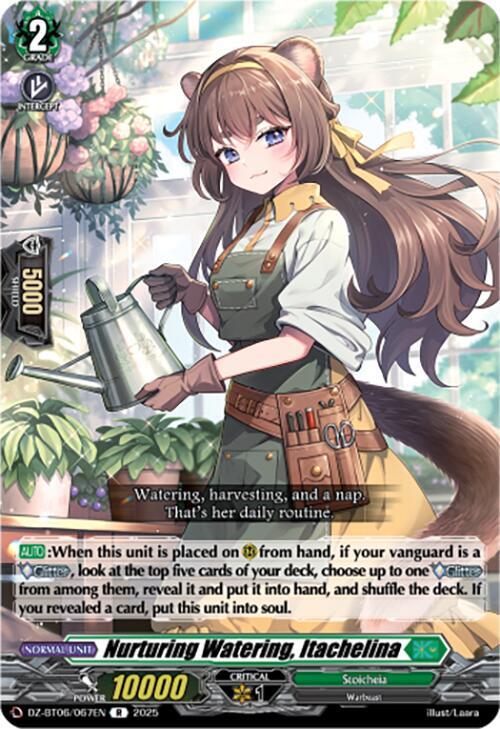 Nurturing Watering, Itachelina