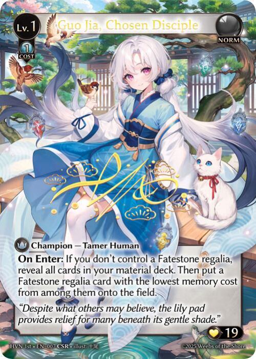 その他 Guo Jia CSR grand archive GA GRAND ARCHIVE TCG 『Guo Jia Re:Collection Box He