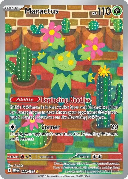 Maractus