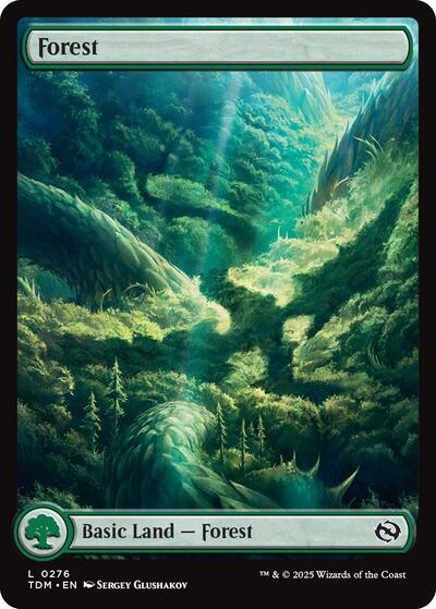 Forest 0276